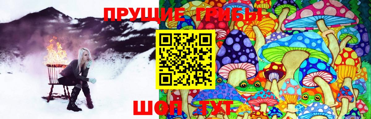Псилоцибиновые грибы прущие грибы Ефремов